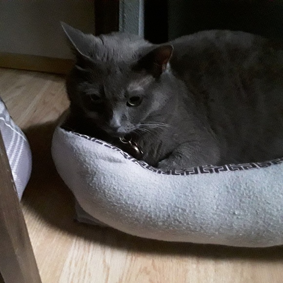 Meet your Posher, Lynn - Picture 1 of 1